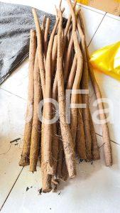 cac-bai-thuoc-nam-tu-cay-nguu-bang