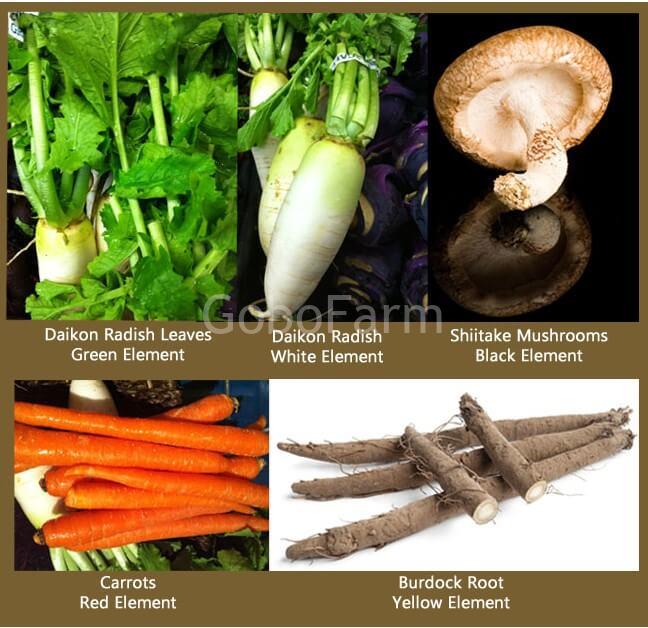 Canh Dưỡng Sinh: Bí Quyết Sống Khỏe Từ Rau Củ 2 Nguyên liệu canh dưỡng sinh