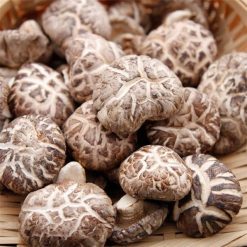 Nấm đông cô giá bao nhiêu tươi và khô