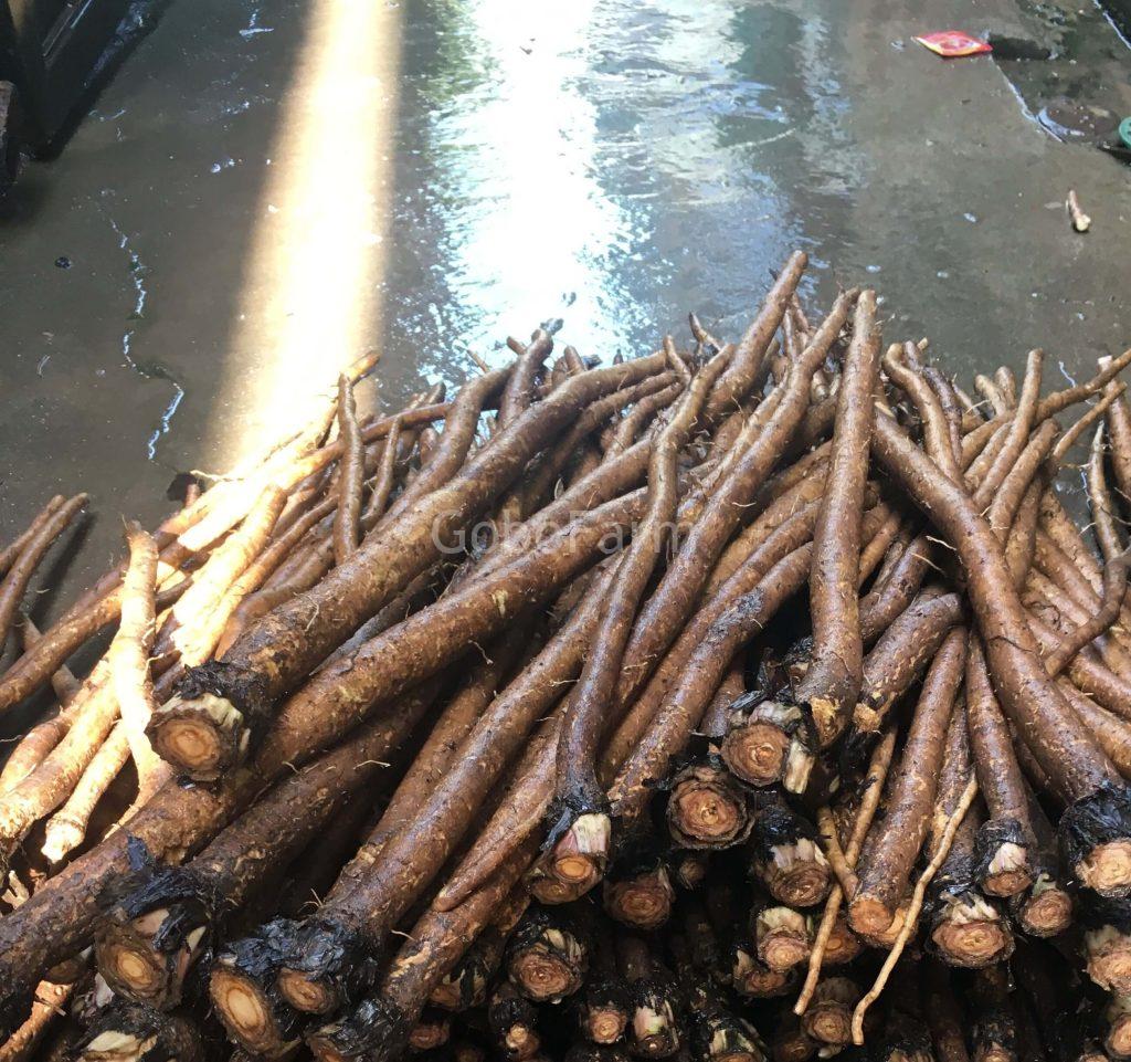 Củ Gobo Mua Ở Đâu? Top 10 Địa Chỉ Uy Tín Nhất Từ Bắc Vào Nam 2 cu gobo mua o dau 2