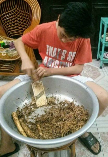 Cách làm ruốc ngưu bàng 2 làm-ruốc-ngưu-bàng