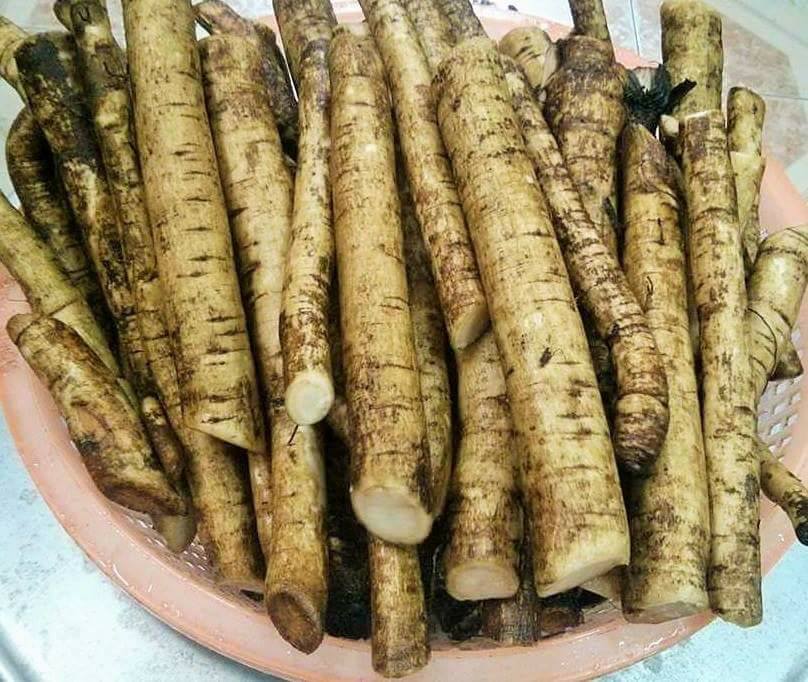 Cách làm ruốc ngưu bàng 1 so-che-nguu-bang