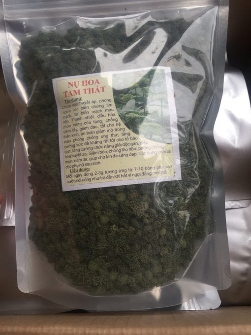 Nụ Hoa Tam Thất - Hình ảnh 2