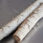nguu-bang-gobo-burdock