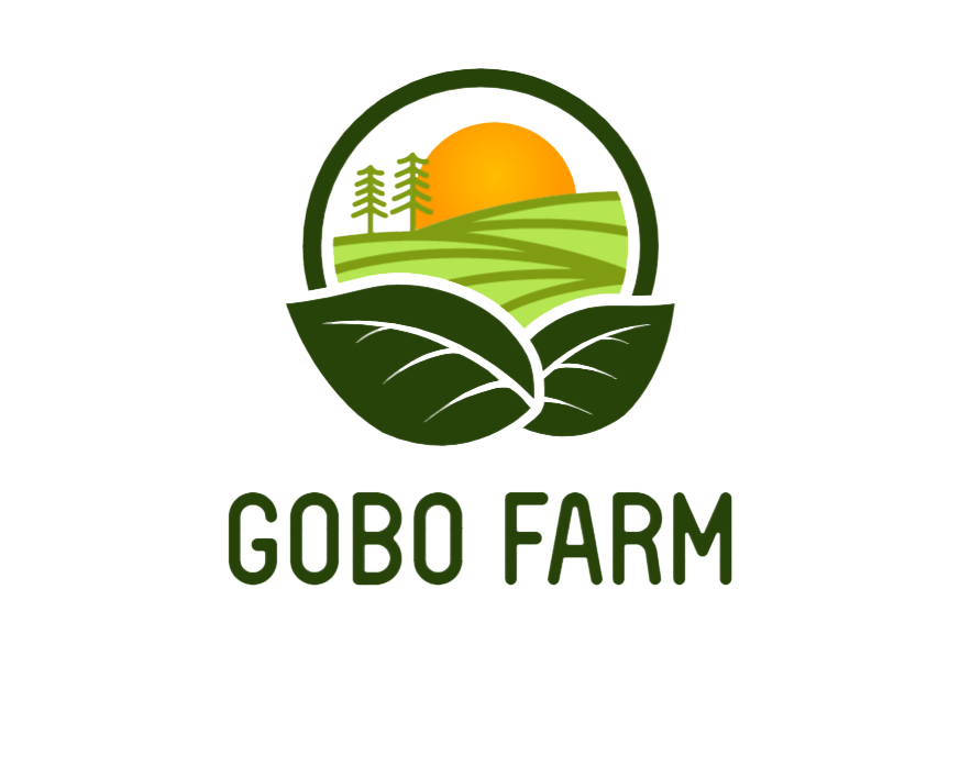 GOBO FARM nguu bang