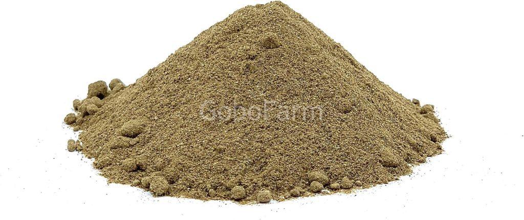 Hình Ảnh Cây Ngưu Bàng Từ Gốc Đến Ngọn: 7 Nhận Biết Chính Xác Qua Mô Tả Trực Quan 17 bot cu nguu bang 2