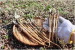 cu-nguu-bang-gobo-farm_7