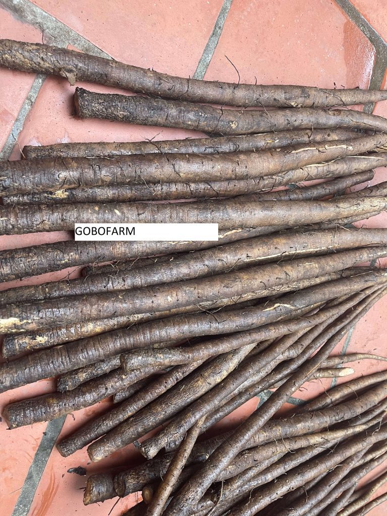 cu-nguu-bang-rửa-sạch
