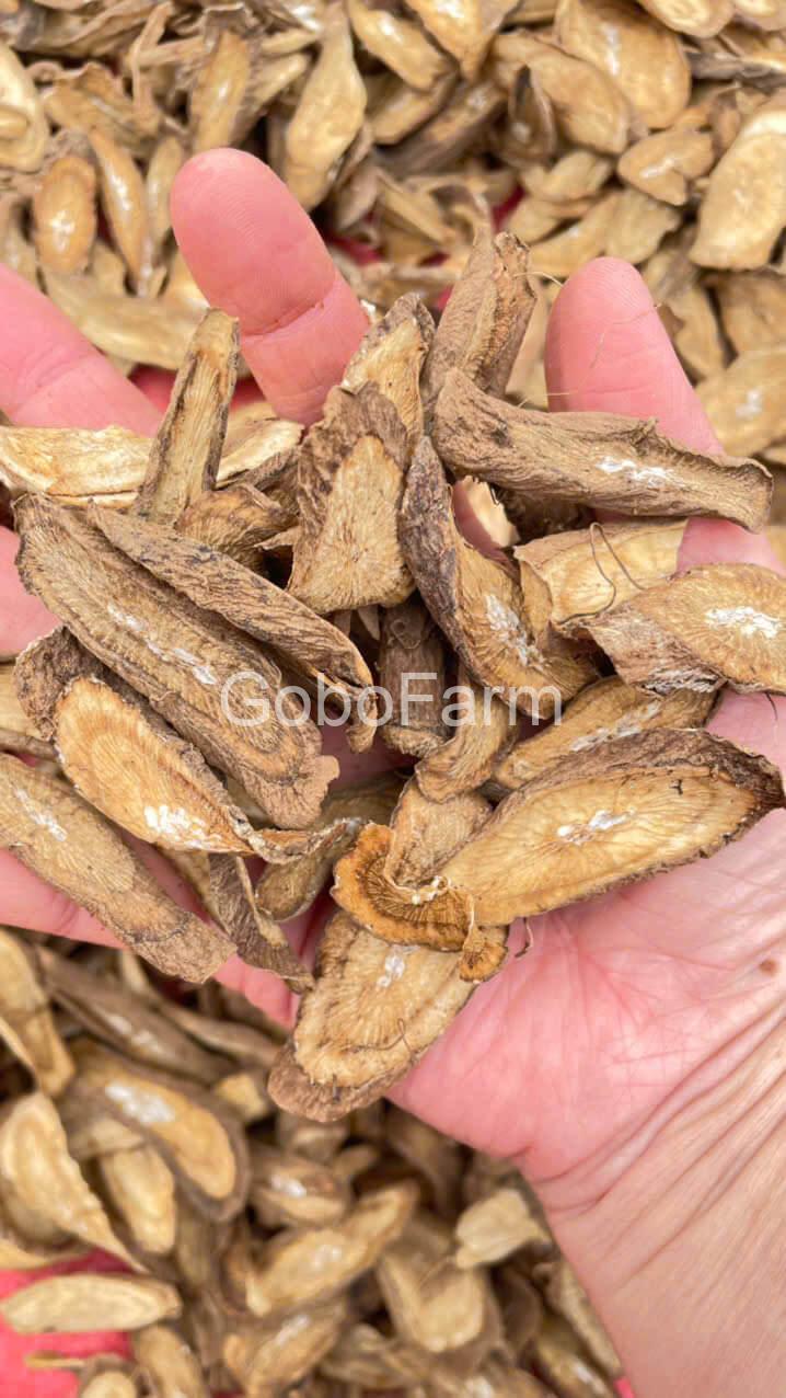 Ngưu Bàng Khô 3 nguu-bang-kho-loi-ich